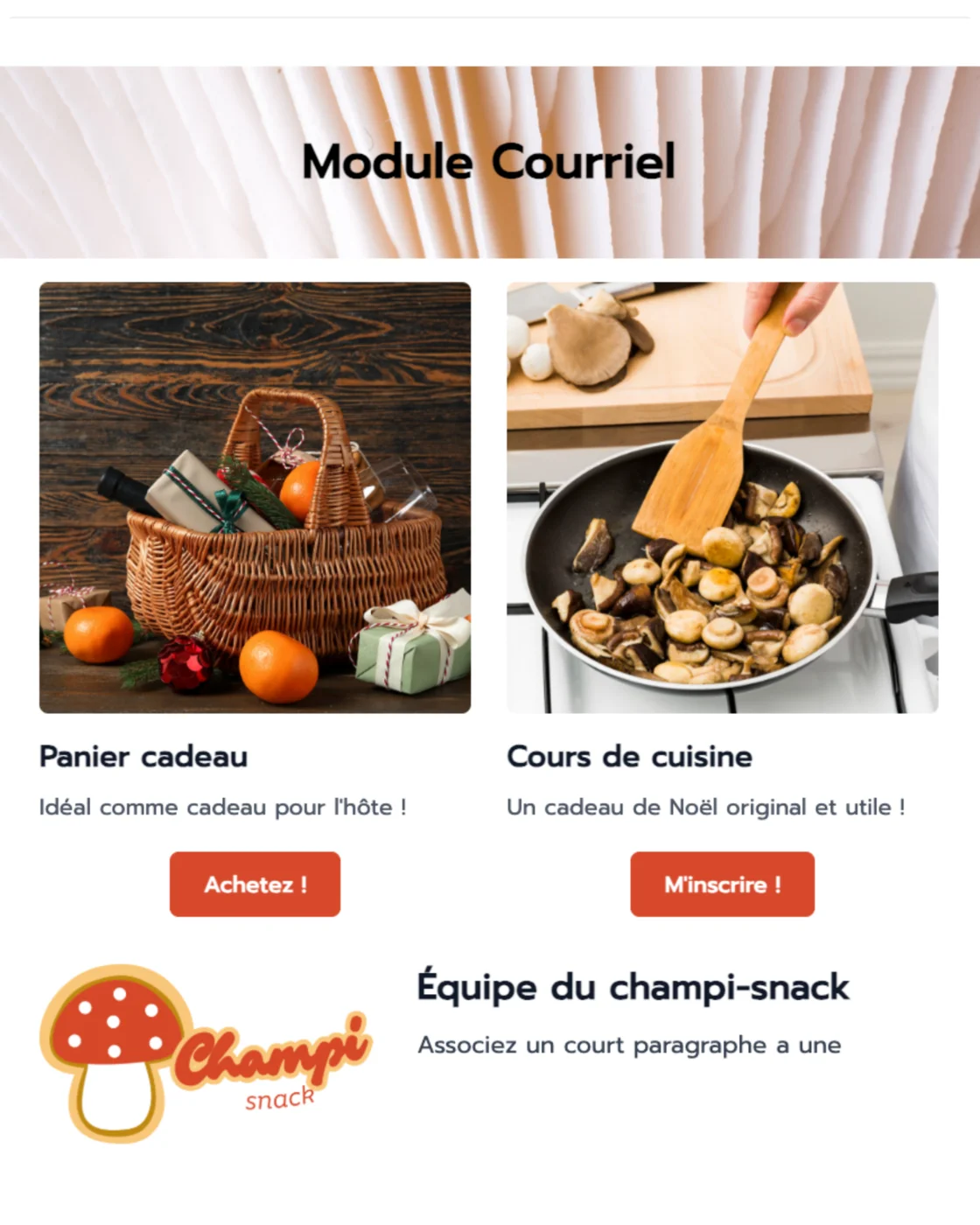 Courriel promotionnel créé avec Parle